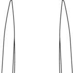 50079940